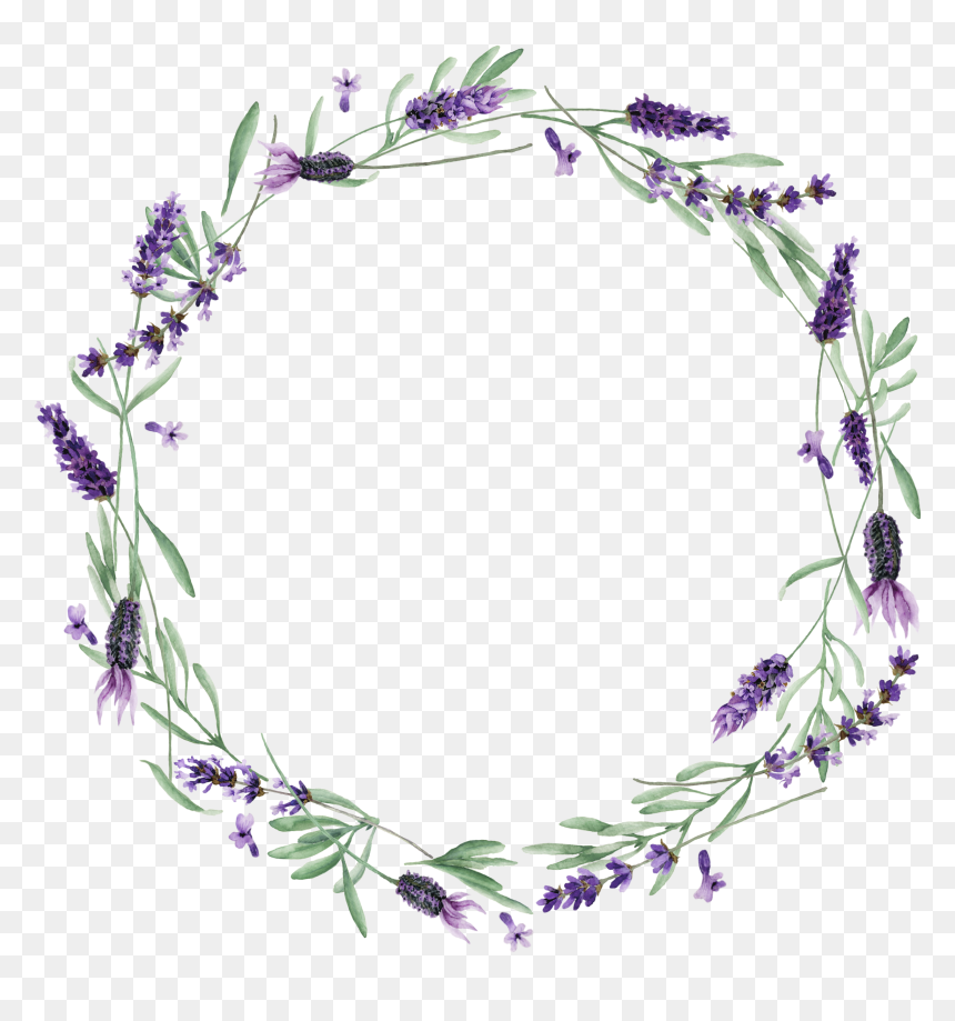 Lavender Vector No Background, HD Png Download - lavender flower png