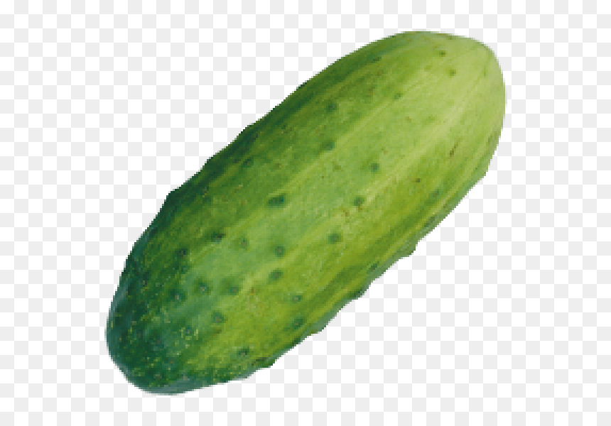 Gourd, HD Png Download - pepino png