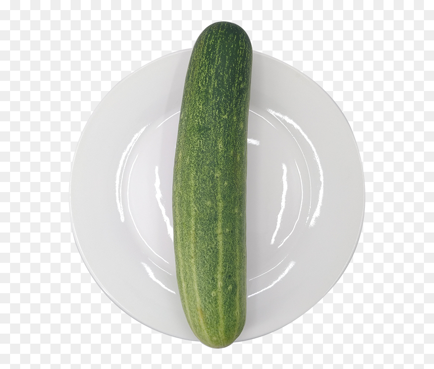 Cucumber, HD Png Download - pepino png