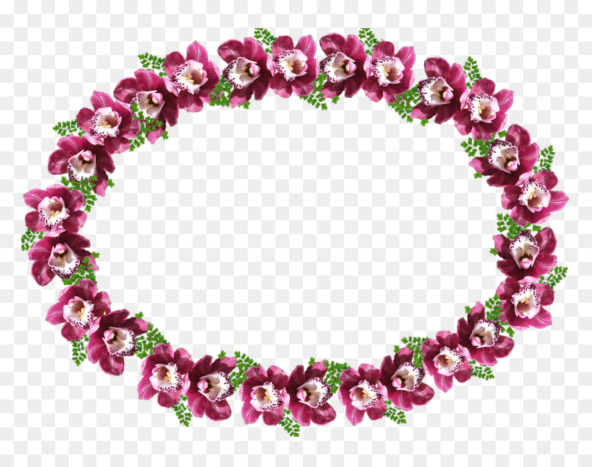 Frame, Border, Orchid - Hollyhocks, HD Png Download - bingkai png