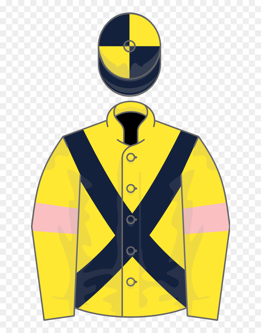 Horse, HD Png Download - mr and mrs png