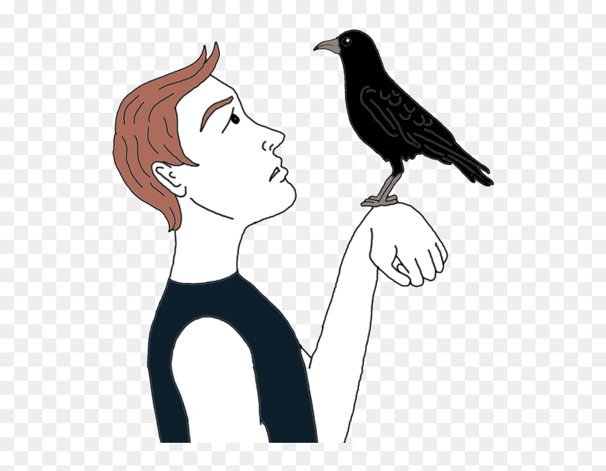 Raven - Crow Spiritual Meaning, HD Png Download - raven flying png