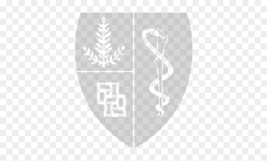 Stanford Medicine Logo White, HD Png Download - stanford university logo png