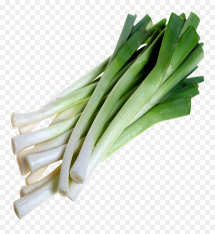 Difference Between Leek And Celery, HD Png Download - leek png