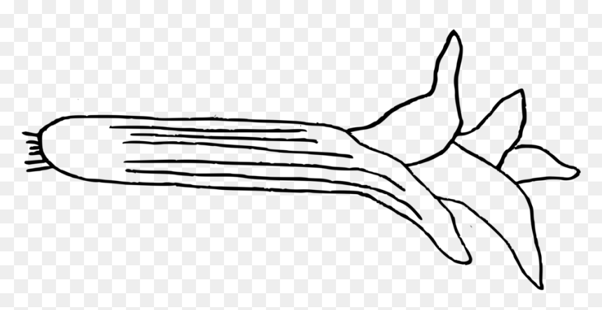 Leek Png Doodle Leek - Line Art, Transparent Png - leek png