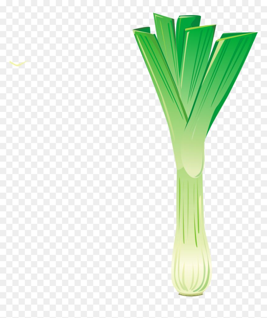 Leek, HD Png Download - leek png