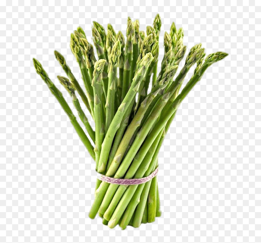 Leek - Fresh Asparagus Transparent Background, HD Png Download - leek png