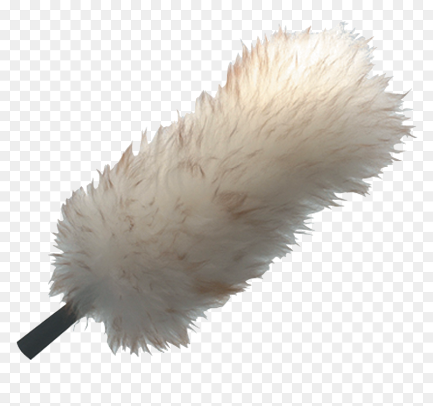 [​img] - Lwduo Unger, HD Png Download - feather duster png