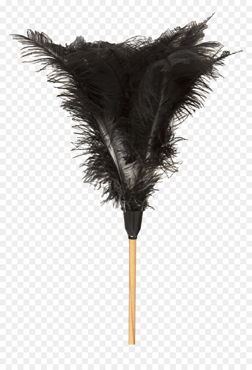 Dusting Feather South Africa, HD Png Download - feather duster png