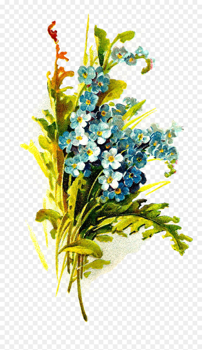 Hd Fllowers Banch Digital, HD Png Download - forget me not png