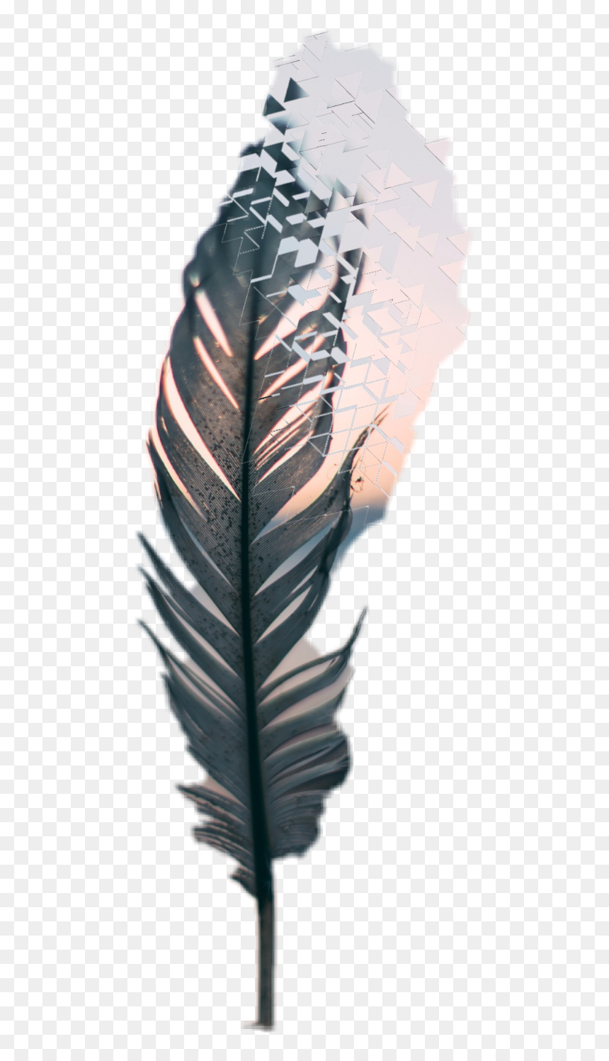 Meditation, HD Png Download - feather duster png