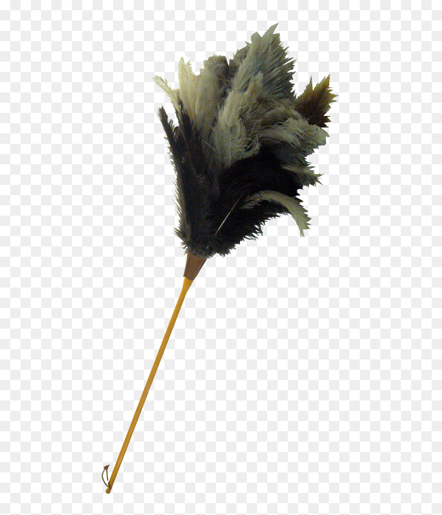 Thumb Image - Flower, HD Png Download - feather duster png