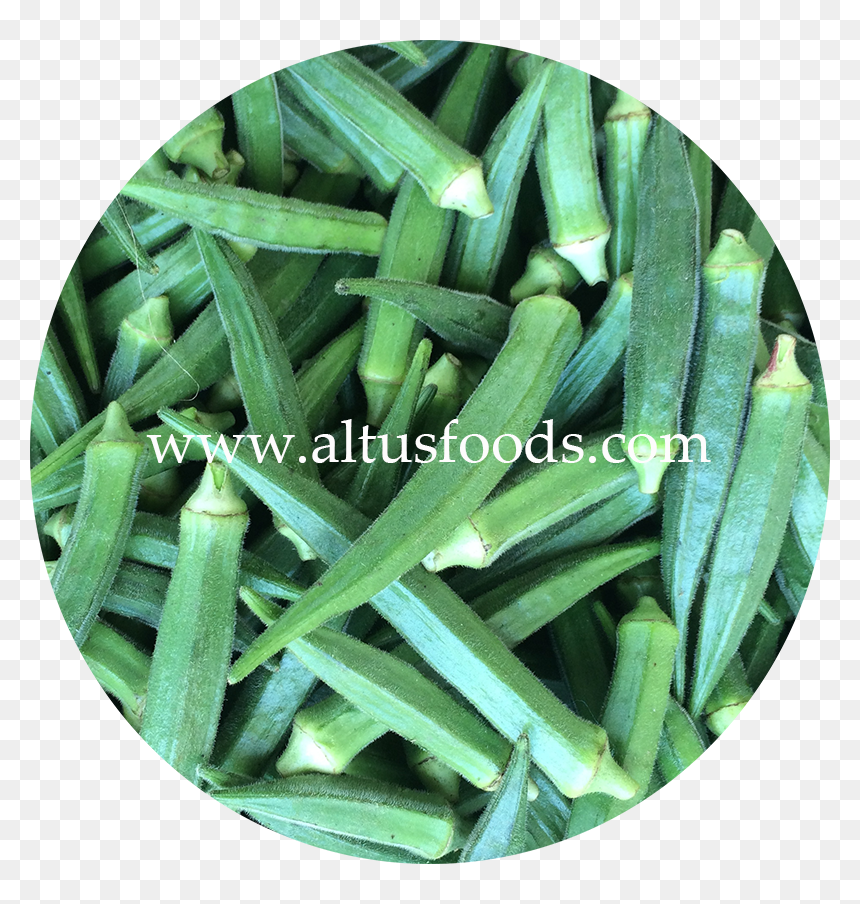 Fresh Indian Okra, HD Png Download - okra png