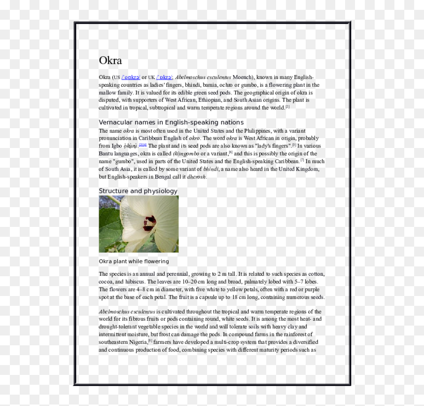 Document, HD Png Download - okra png