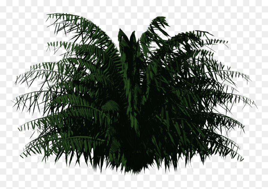 Plants Greenhouse Png, Transparent Png - bush texture png