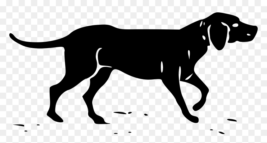 Basset Hound Southern Hound Hunting Dog Clip Art - Hunting Dog Transparent, HD Png Download - dog png clipart