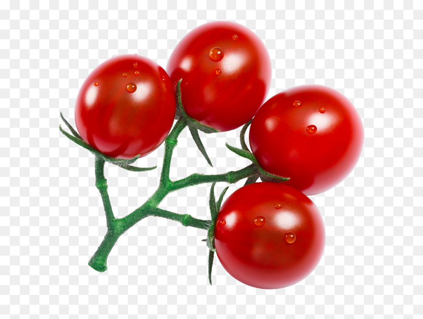 Plum Tomato, HD Png Download - vegetables transparent png