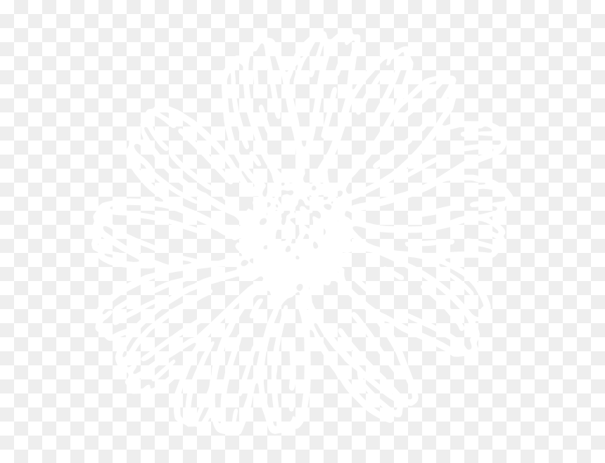 Gerbera Daisy Clipart Black And White, HD Png Download - white sun png