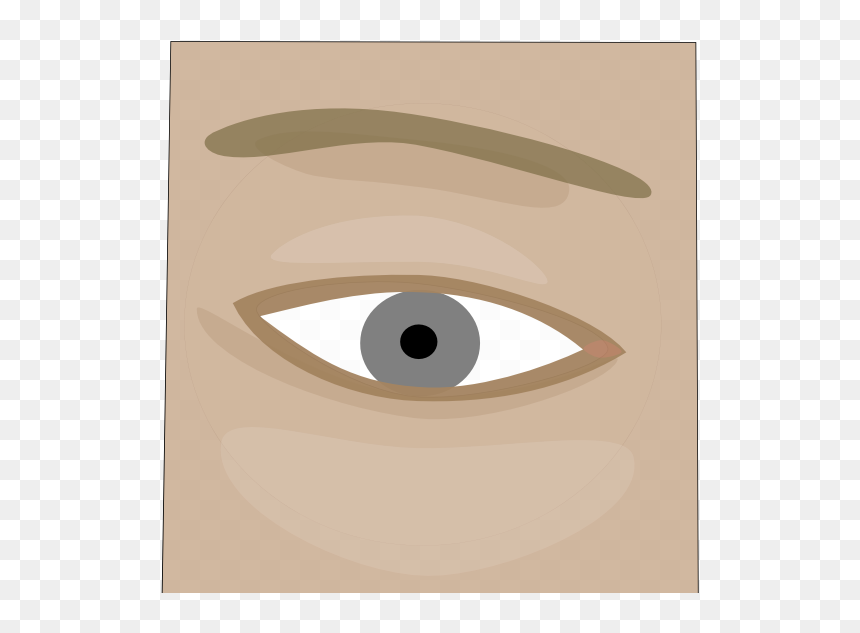 Human Eye, Rendered From Eye - Illustration, HD Png Download - human eye png