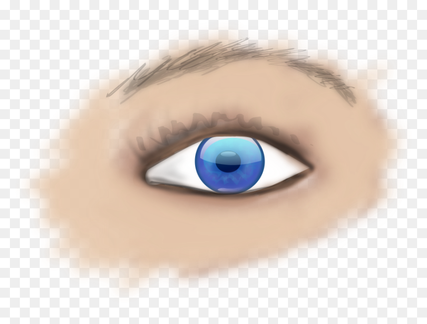 This Free Clipart Png Design Of Human Eye Clipart Has - Part Of Eye Is Donated, Transparent Png - human eye png