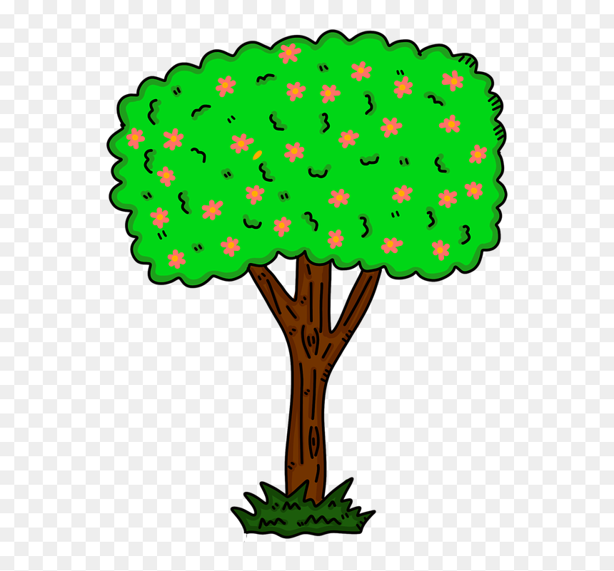 Tree, Blossom, Spring, Flower, Bloom, Branch, Floral, HD Png Download - spring tree png