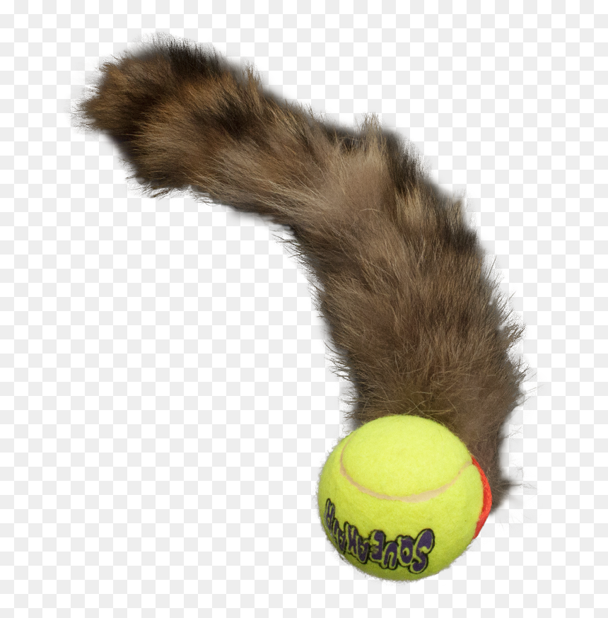 Ball And Tail Toy, HD Png Download - tennis ball png