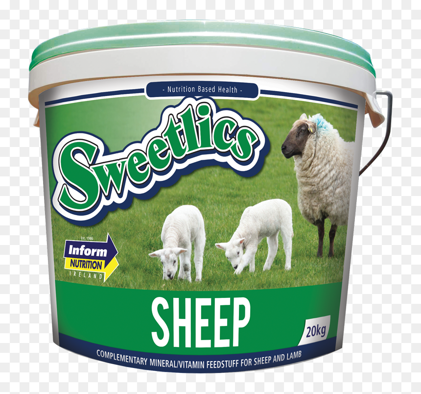 Sheep, HD Png Download - sheep png
