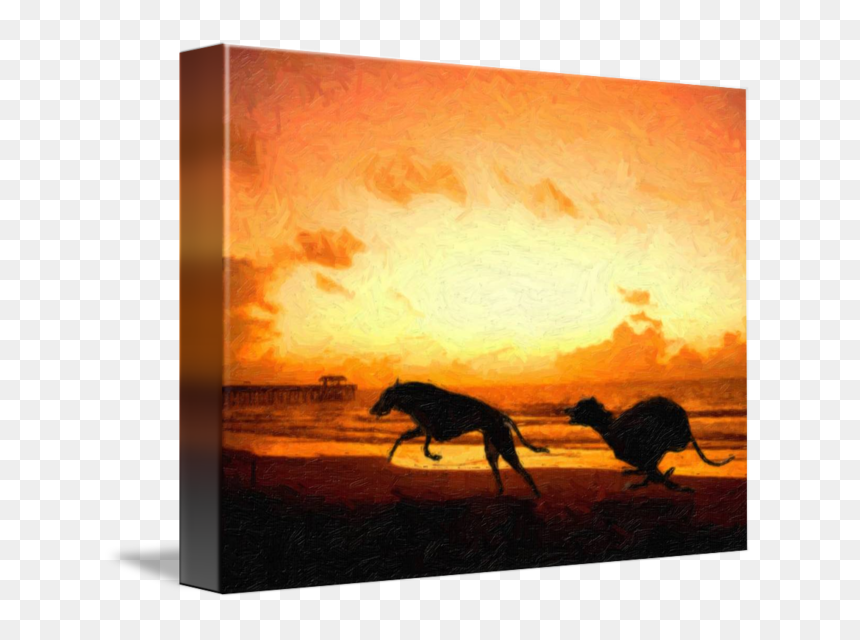 Famous Greyhound Paintings, HD Png Download - sunset png