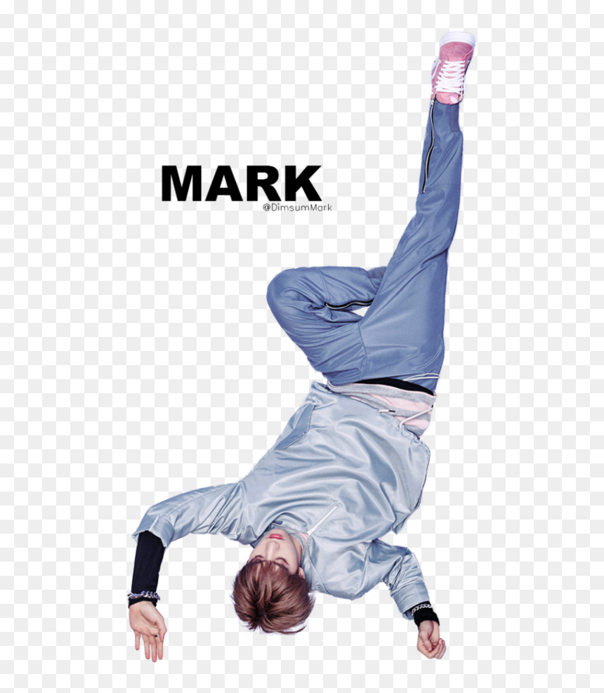 Png Got7 Fly, Transparent Png - fly png
