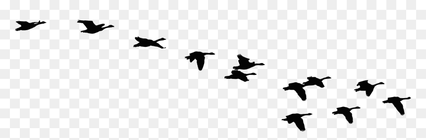 Flock Of Geese Silhouette, HD Png Download - fly png