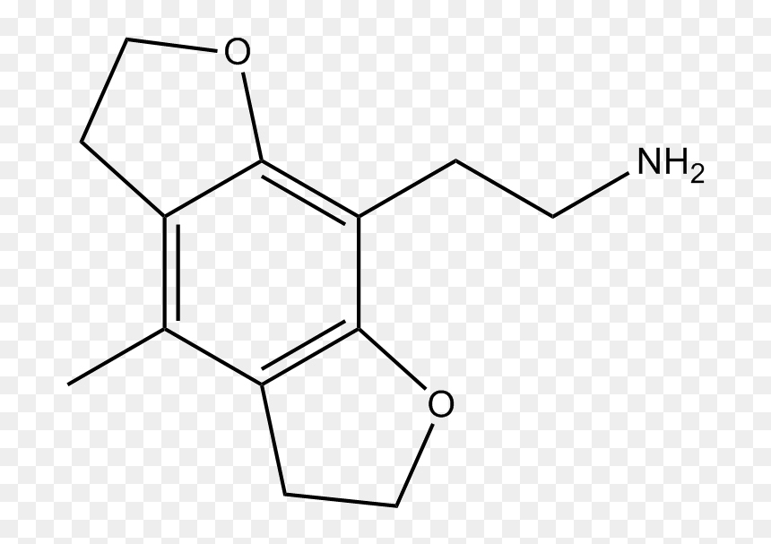 Salicylate De Sodium, HD Png Download - fly png