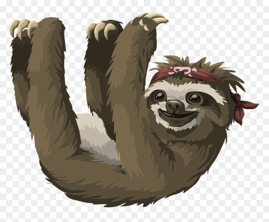 Pygmy Three Toed Sloth Cartoon, HD Png Download - sloth png