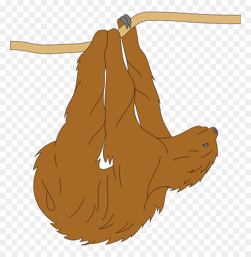 Sloth, HD Png Download - sloth png