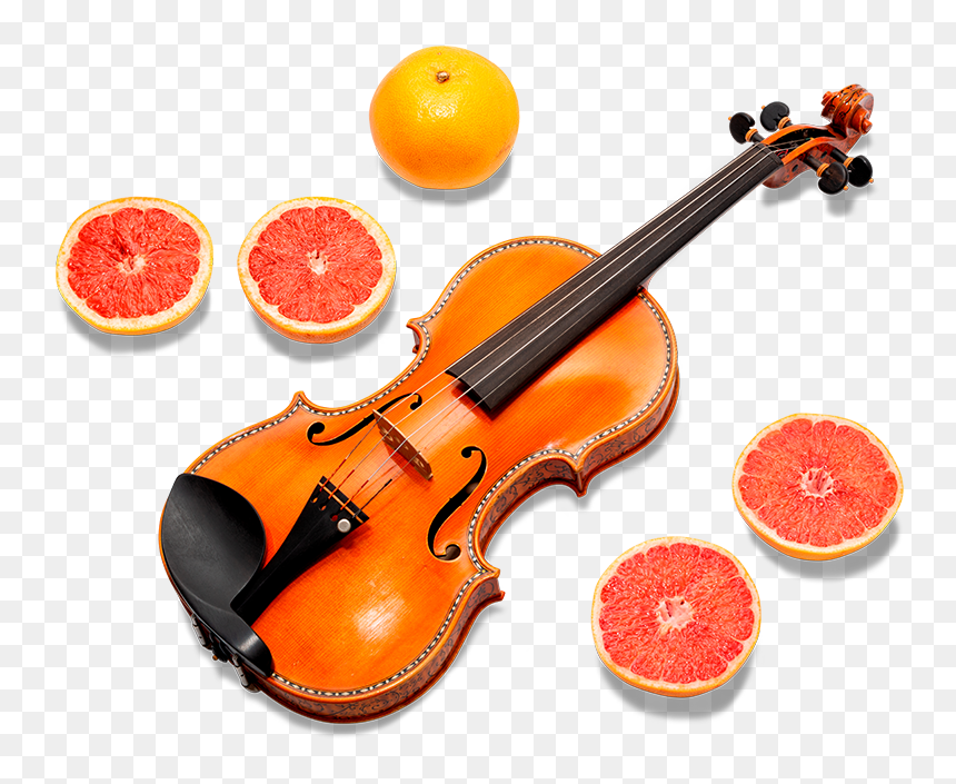 Violin, HD Png Download - violin png