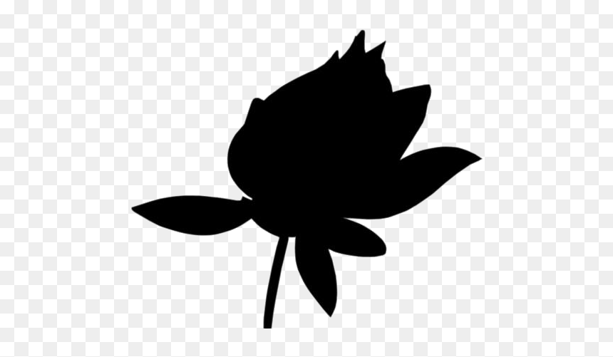 Illustration, HD Png Download - lotus png