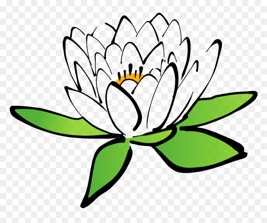 First Flowering Plants Cartoon, HD Png Download - lotus png
