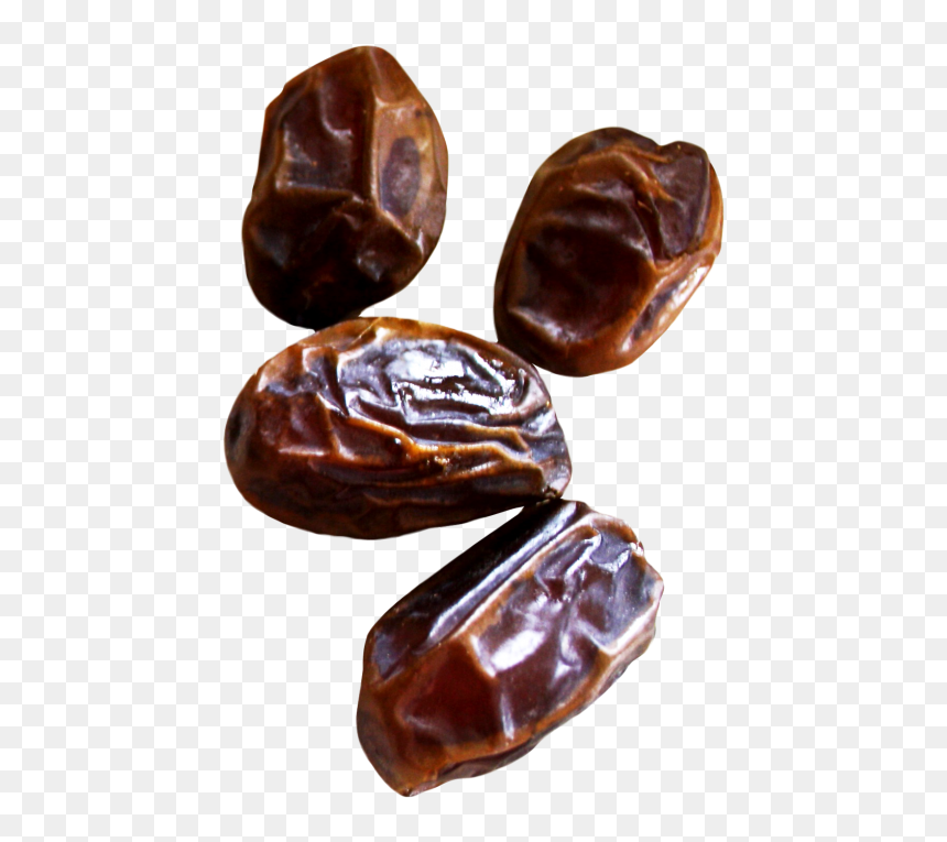 Date Palm, HD Png Download - palm png