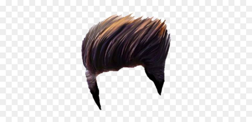 Picsart Png Hair Boy, Transparent Png - wig png