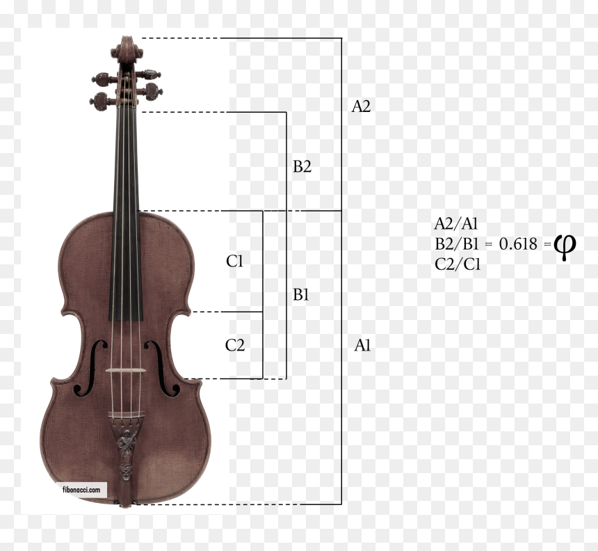 1721 Stradivarius Violin, HD Png Download - golden ratio png