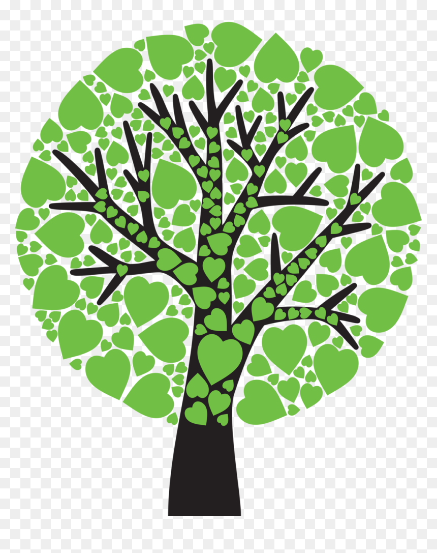 Фотки Picture Tree, Spring Tree, Tree Leaves, Family - Tree, HD Png Download - spring tree png