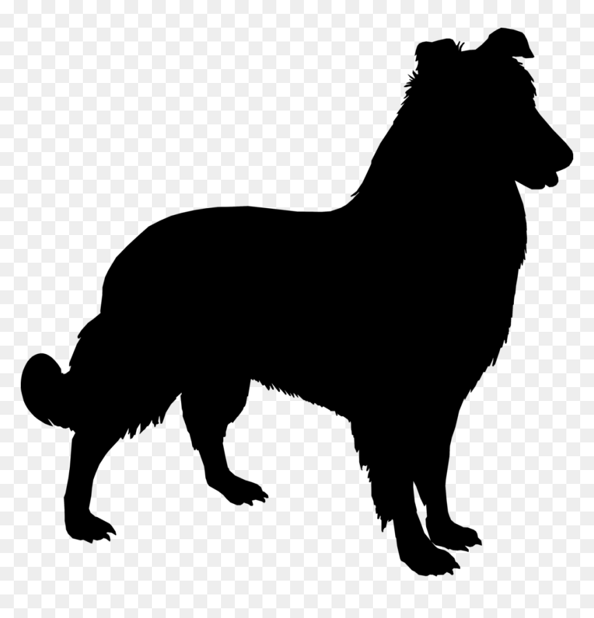 Anatolian Shepherd Yorkshire Terrier Sheltie German - Sheltie Silhouette, HD Png Download - shepherd png