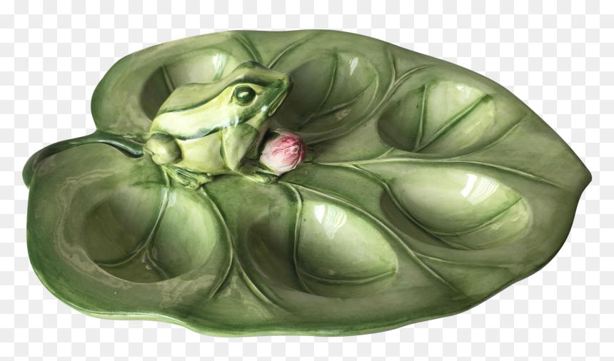Lilypad Drawing Frog - Toad, HD Png Download - lilypad png