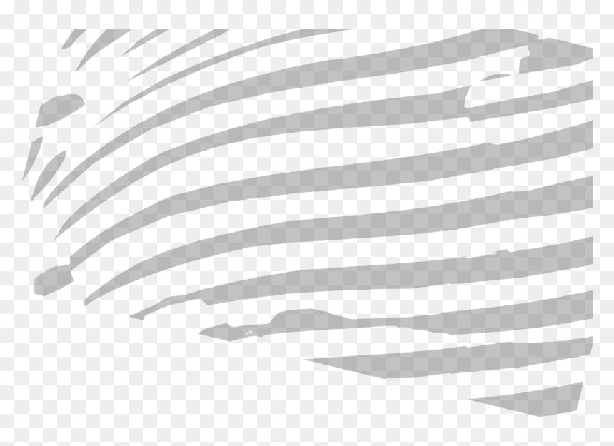 Monochrome, HD Png Download - zebra stripes png