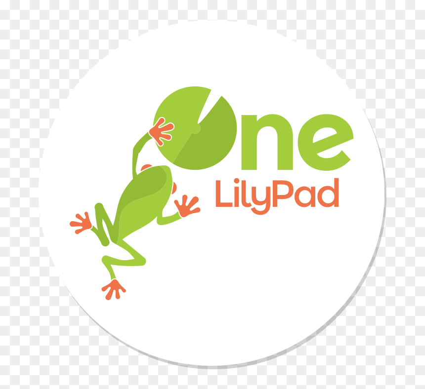 Red-eyed Tree Frog, HD Png Download - lilypad png