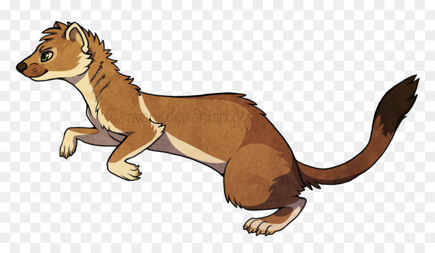 Black Footed Ferret Cartoon, HD Png Download - weasel png