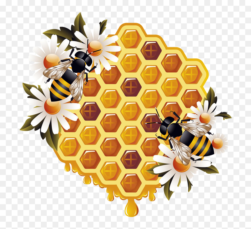 Kisspng Honey Bee Beehive Bumblebee Bee - Honey Bee Png Transparent, Png Download - honeybee png