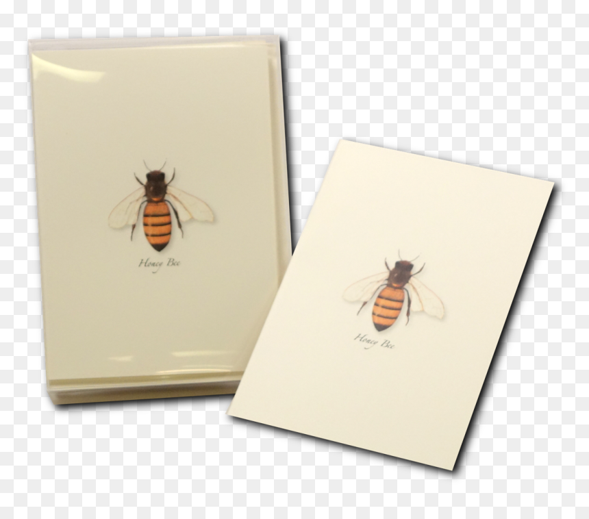 Honey Bee Notecard Honeybee Greeting Card - Honeybee, HD Png Download - honeybee png