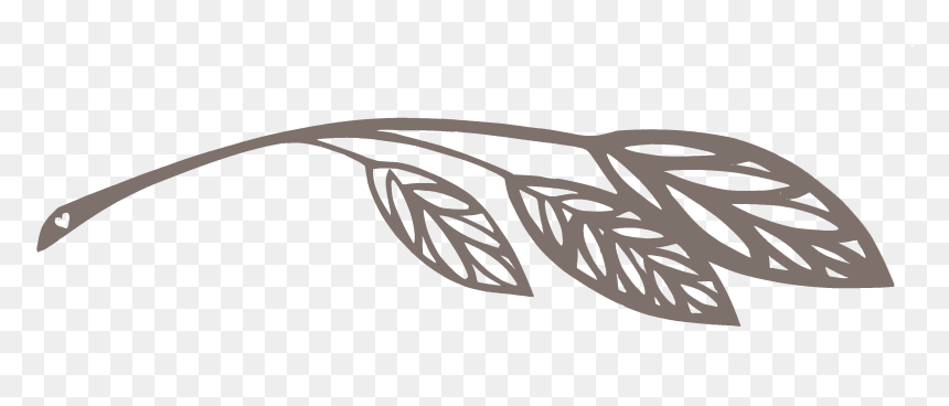 Transparent Page Break Png - Page Break Clipart, Png Download - page separator png