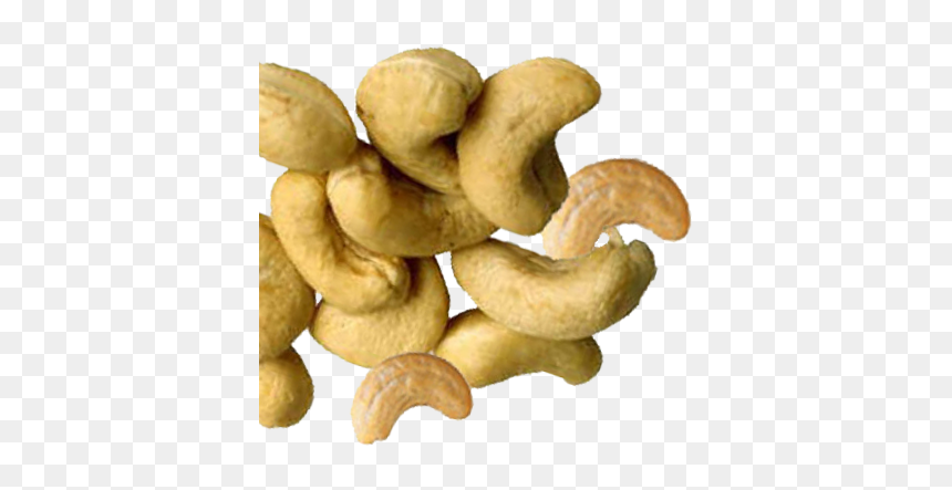 Animal Cracker, HD Png Download - cashews png