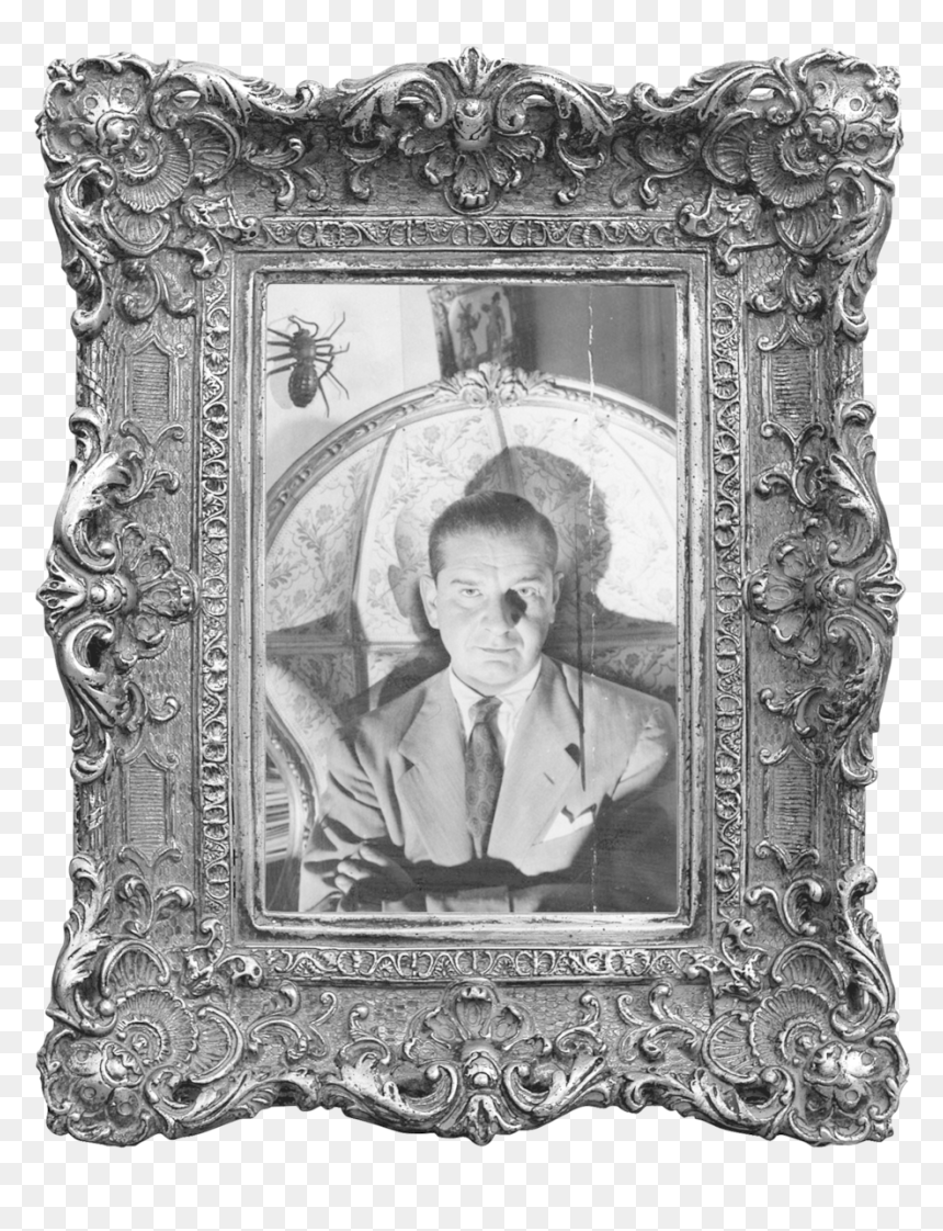 Painted Picture Perfect - Vintage Picture Frame Png, Transparent Png - joseph morgan png